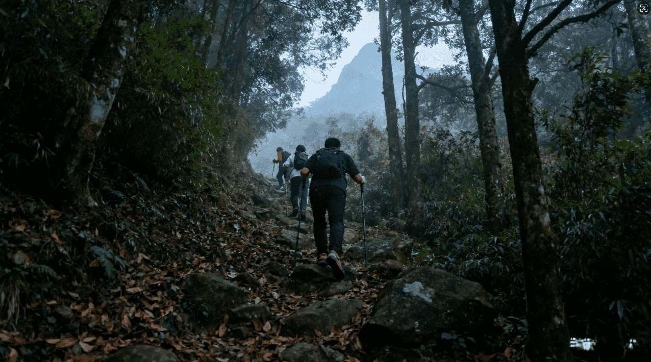 雷霆加速器注册Instagram详细教程指导